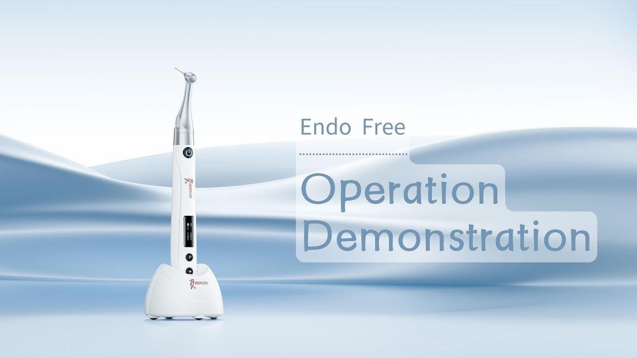 Cargar vídeo: Moteur Endo Free - sans fil - WoodPecker