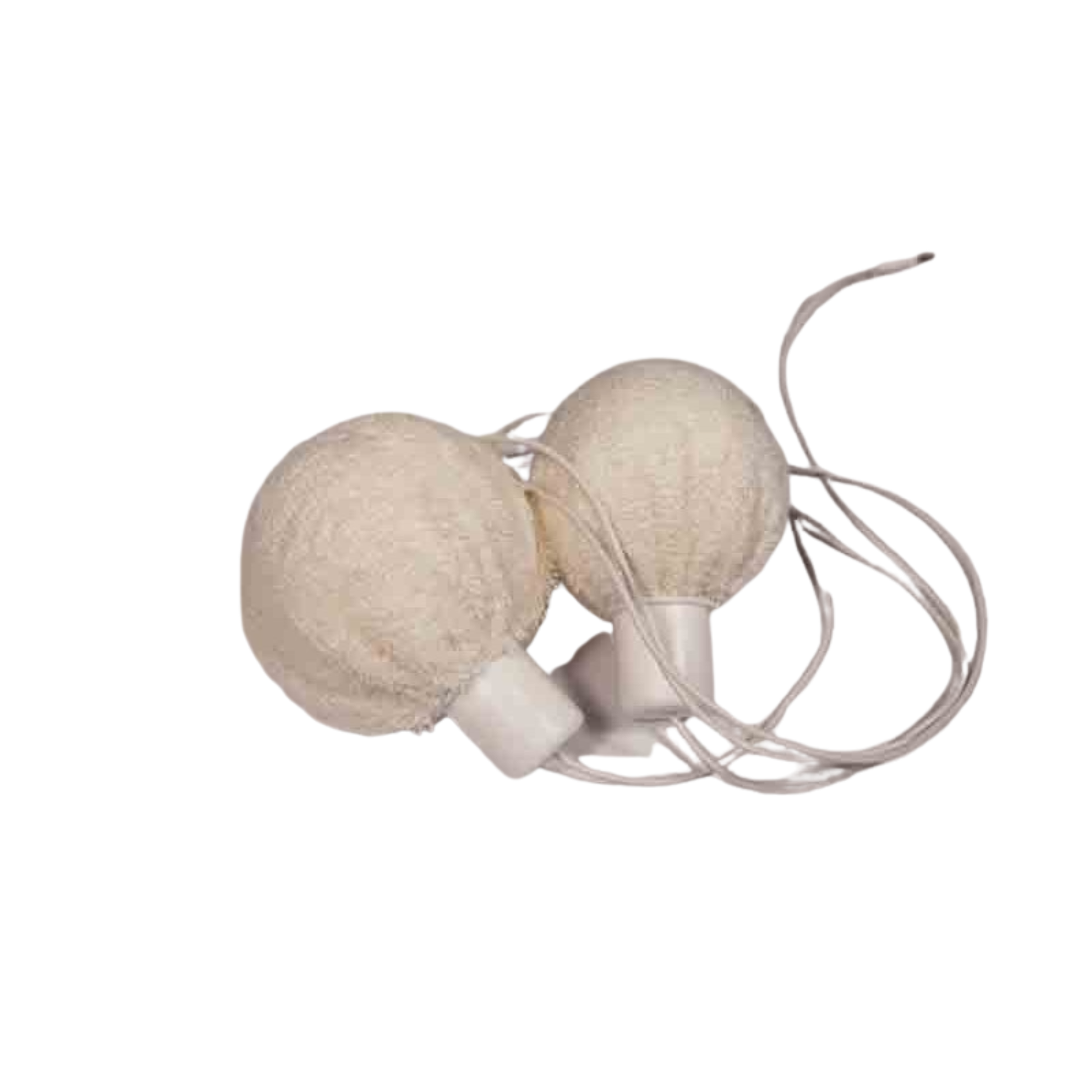 Kit Électrodes Axilla compatible avec les appareils d'ionophorèse I2m.A - I2M Laboratoires - My Médical