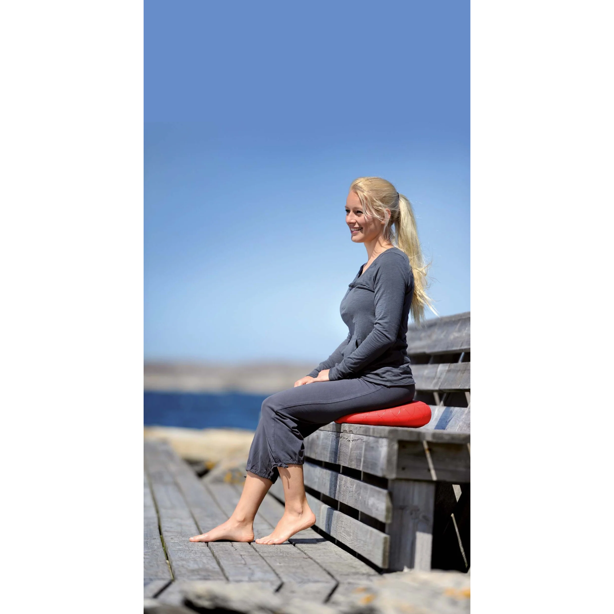 Coussin Sitfit Plus + Pompe (3 coloris) - SISSEL